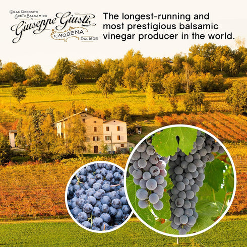 1 8.45 oz (250 ml) Pack 1 Giusti Balsamic Vinegar of Modena IGP Silver Medal Italian Gourmet Aceto Balsamico di Modena