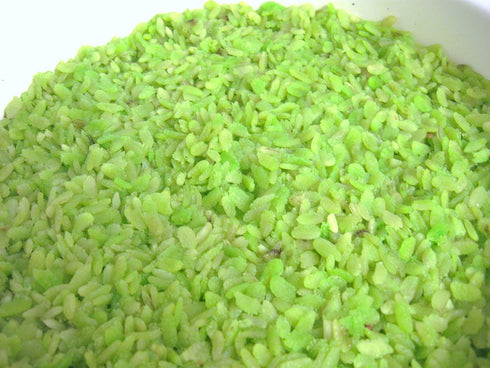 Unknown Dried Sweet Rice Flakes - Green Glutinous Rice Flakes 7oz