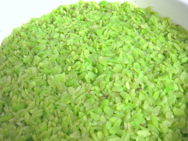 Unknown Dried Sweet Rice Flakes - Green Glutinous Rice Flakes 7oz