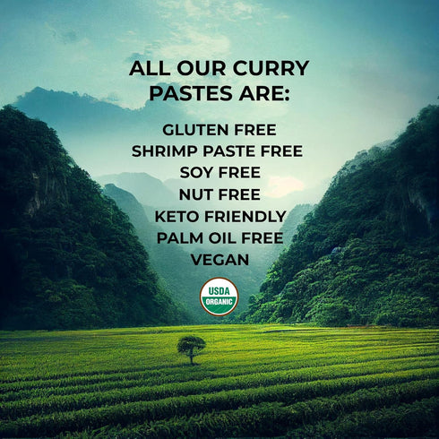 Organic Yellow Thai Curry Paste, Authentic & Premium Made in Thailand | 1 x 4.23 Ounce Jar