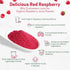 1 lb Z Natural Foods Organic Red Raspberry Juice Powder - Antioxidant-Rich Superfood - Powdered Raspberries for Baking