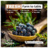 Eastanbul Juniper Berries Whole 3.5oz, Natural Berries for Gin Recipes, Brines, and Sauerkraut