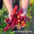 The Spice Way Smoked Paprika - Pure, Non-GMO, No Additives, 4 oz Resealable Bag, Authentically Smoked with Herbs