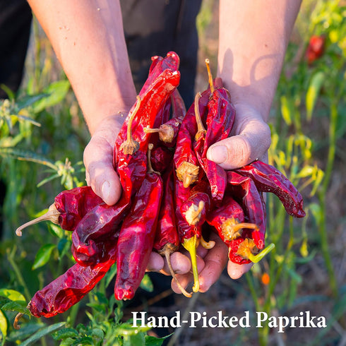 The Spice Way Paprika Powder - 8 oz Seasoning