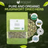 50g 1.76oz Biokoma Organic Mugwort Dried Herb Artemisia vulgaris USDA Organic Herbal Tea Premium Cut Aromatic Leaves