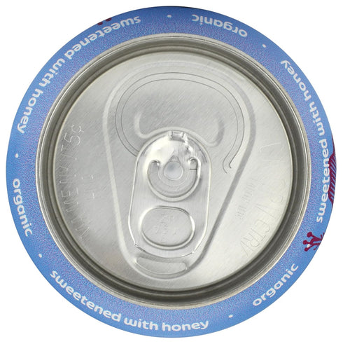 Fresh Fizz Organic Soda w/Real Food Ingredients, Sweetened w/Honey, Made w/Juices, Spices & Fresh Herbs (Hibiscus