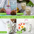 11 oz (Pack 12)|100% COCOXIM Ready to Drink Coconut Water with Lotus Seed Extract of Natural & Fresh with Electrolytes