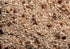 1 lb, 3 Pack, Burl Barley Granola, Maple Syrup & Pecan Granola, Whole Grain Barley Cereal, Rolled Barley Grain
