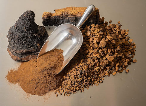 8 oz 100% Premium Organic Chaga Mushroom Chunks - of Authentic Wild Harvested Canadian Chaga Tea - Superfood