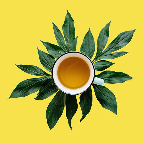 Mango Yerba Mate with Ginseng, Loose Leaf Tea - Caffeinated | Bulk 8oz, 80-100 Cups