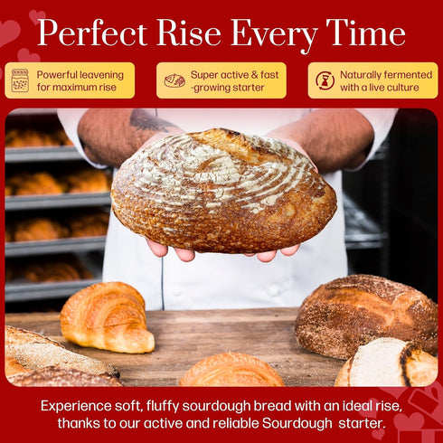 100+ Mature Sourdough Starter Culture Years Old Dehydrated Sourdough Starter Kit for Delicious Homemade Sourdough Bread