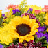 Benchmark Bouquets Flowering Fields Sunflower Bouquet - Mothers Day Flowers for Delivery - Mothers Day Gifts for Mom