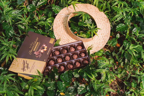 Hawaiian Host 7 Oz Founders Collection - Dark Chocolate Macadamia Nuts - Gift Box