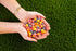 6 Pack 8 Nerds Big Chewy Candy, Ounce