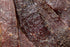 20 oz (Pack 1) 32 Count Enjoy Old Fashion Peppered Beef Jerky Jar of | | Traditional Style | High Protein | Low Fat |