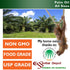 7 lbs 1 Essential Depot Palm Oil - RSPO Certified - Sustainable - Food Grade - Not Hydrogenated - in a Gallon Pail