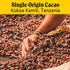 Raaka Chocolate Bananas Foster 66% Cacao Dark Chocolate, Organic, Vegan, Fair Trade, Gluten Free, Kosher, 1.8oz Bars,