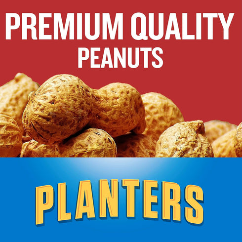 (6 oz Packet) Planters Dry Roasted Peanuts