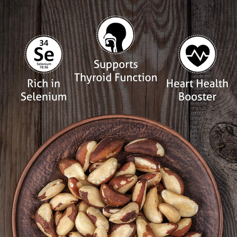 1 lb (16 oz) Premium Wild Harvested Dry Roasted Brazil Nuts with Sea Salt, High Selenium, Batch Tested Peanut & Gluten