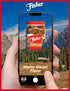24 oz (Pack 1), Mammoth Fisher Snack Glazed Pecans Candied, of Junior Candied Pecans, Perfect for Gifting or Personal