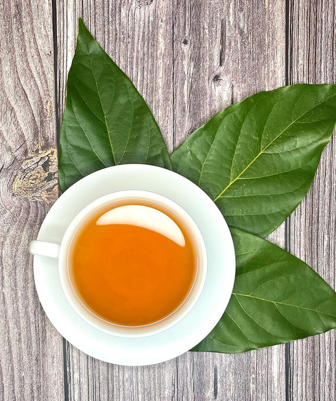 Palm Beach Medicinal Herbs - Avocado Leaf Tea, Pure Herbal Tea Series, 30ct
