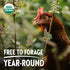 18 Count Vital Farms, Egg Large Organic