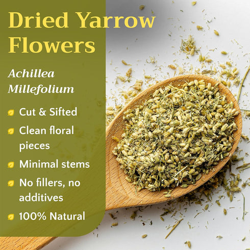 2oz Dried Yarrow Flowers Tea - Natural Yarrow Flower Herb Bulk - Achillea Millefolium Herbs - Loose Leaf Cut