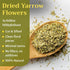 2oz Dried Yarrow Flowers Tea - Natural Yarrow Flower Herb Bulk - Achillea Millefolium Herbs - Loose Leaf Cut