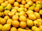 Meyer Lemons (Meyer Lemons 1 Dozen (12 Pc's))