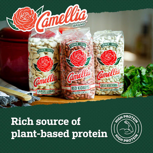 1 (Pack 6) Camellia Brand Dried Black Beans, Frejoles Negros Premium Non-GMO Black Turtle Beans for Soups, Chili