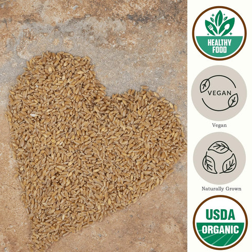 (4.8 lb) Be Still Farms Einkorn Farro Grain Organic - Einkorn Wheat Berries Bulk Whole Ancient Grains - Ideal for Soup