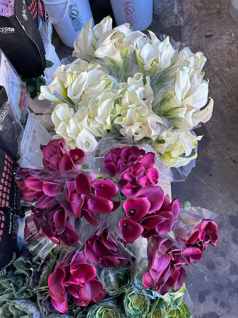 10 Next-day delivery Calla Lilies Fresh Cut Flowers Bouquet Prime Delivery Gifts for Birthday Anniversary Friendship
