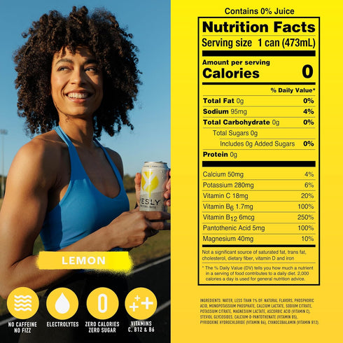 Pack, B6 B12, 16 Oz 12 Pack Yesly Functional Water, Variety Naturally Flavored Still Water with Electrolytes