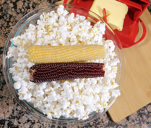 Amish Country Popcorn | Old Fashioned Microwave Popcorn | Non-GMO, Gluten Free, Microwaveable (White & Red Corn on the
