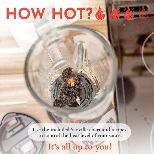 (29 Set) DIY Gift Kits - Hot Sauce Making Kit Everything Included - Unique Cooking Gifts For Men - Gifts For Husband