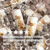 60mg 20g 90 12 Count Spylt High Protein Vanilla Milkshake with Caffeine & Protein - Calories, Ready to Drink, Sugar