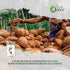 2 True Organic Coconut Sugar Pounds Certified Organic, USDA & Kosher Certified, Pure Ceylon Premium Quality