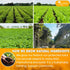 TOG999, 12oz/200 Anti-Inflammaheb 100% cups Loose Leaf Tea | Natural Blend of Ginger, Turmeric, Peppermint, Black