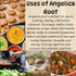 3.5 oz Herbs Botanica Angelica Root Loose Cut and Sifted Angel of Herbs Angelica Archangelica Angelica Herb for Herbal