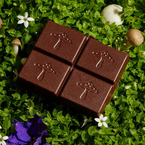 Alice Mushrooms Nightcap + Brainstorm Duo | Functional Mushroom Chocolates | Brainstorm Energy Bites for Focus, Clarity