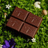 Alice Mushrooms Nightcap + Brainstorm Duo | Functional Mushroom Chocolates | Brainstorm Energy Bites for Focus, Clarity