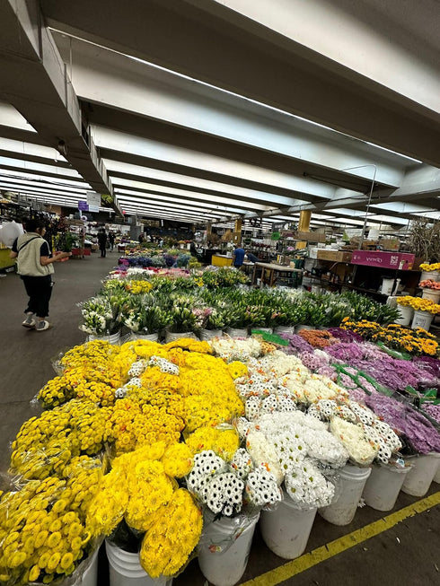 20 Next day delivery Yellow Tulips Fresh Cut Flowers Wheat Field Bouquet Gifts for home decoration birthdays friendship