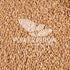 PowerGrow Systems 100% (5 5 Einkorn Wheat Berries - Certified Organic Einkorn Whole Wheat Grain pounds) by (Einkorn