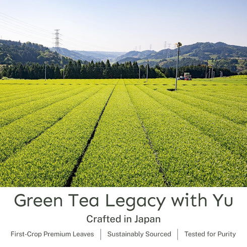 100 2.65 oz Yu Tea Organic Sencha Green Tea Powder, Servings | Rich in Antioxidants, EGCG, & L-Theanine | Pure Japanese