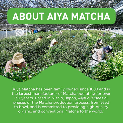 Aiya Matcha To Go Single Serve Packs, Ceremonial Grade Pure Matcha Green Tea Powder (10 Count)