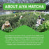 Aiya Matcha To Go Single Serve Packs, Ceremonial Grade Pure Matcha Green Tea Powder (10 Count)