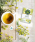Traditional Medicinals Organic Fennel Herbal Tea, Promotes Digestive Health (Pack of 2) 32 Tea Bags Total