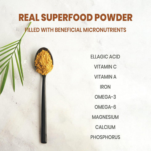 3.5 Jungle Powders Wild Cloudberry Powder for Smoothies Baking Jam Ounce Bag Pure Nordic Freeze Dried Cloudberry