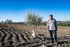 The Olive Trading Co. 2023/24! 500ml (16.9 OZ) Regios Extra Virgin olive Oil, Picual, Early Harvest Award Winning