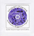 Pack 3 Yogurt Starter Cultures - of Freeze-dried Culture Sachets for Authentic Bulgarian Yogurt